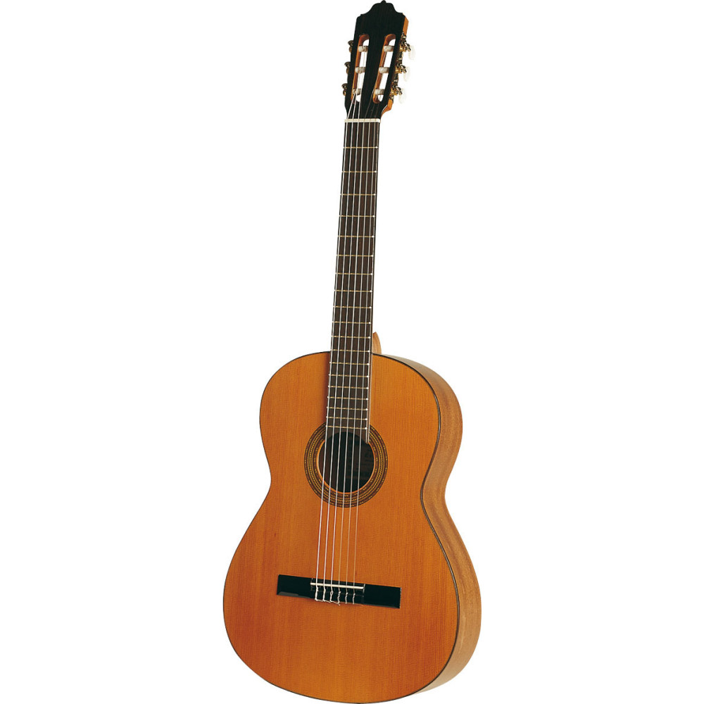 Esteve Mod.5 Cedar Top Guitar