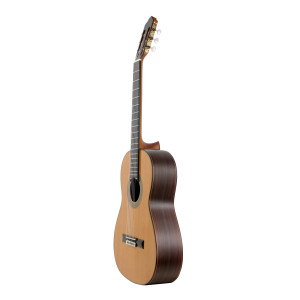 Guitare Esteve Mod.7 Table Cedre Brill