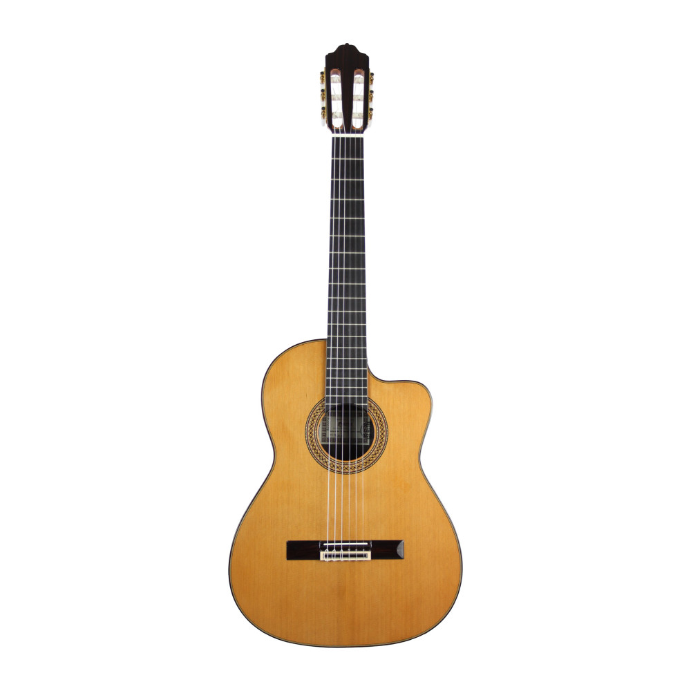 Esteve Gitarre 9ce C/b Zeder Eq Fishman