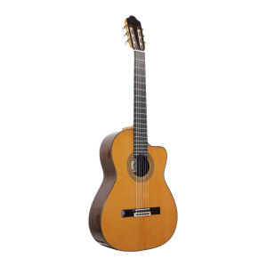 Esteve Gitarre 9ce C/b Zeder Eq Fishman