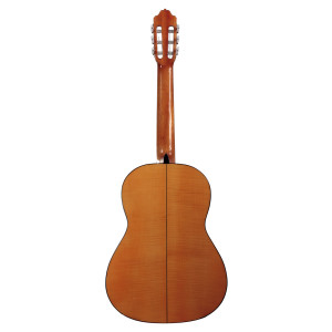Esteve 5f Guitar Spruce Top