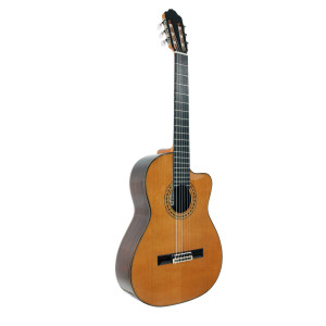 Esteve 8ce Zeder EQ Fishman Gitarre