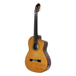 Esteve 8ce Zeder EQ Fishman Gitarre