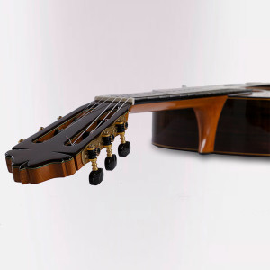 Esteve Gitarre 65 Anos