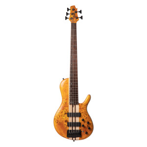 Cort A5 Plus SC Bass Bernstein