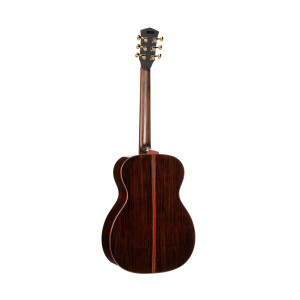 Cort Gitarre Abstract Delta Natur
