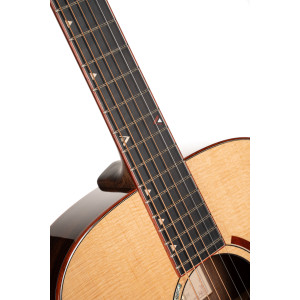 Cort Gitarre Abstract Delta Natur