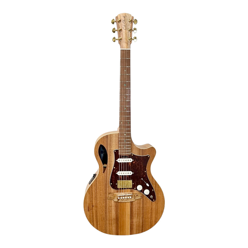 Cole Clark Gitarre An2ec-blbl-hss Koffer