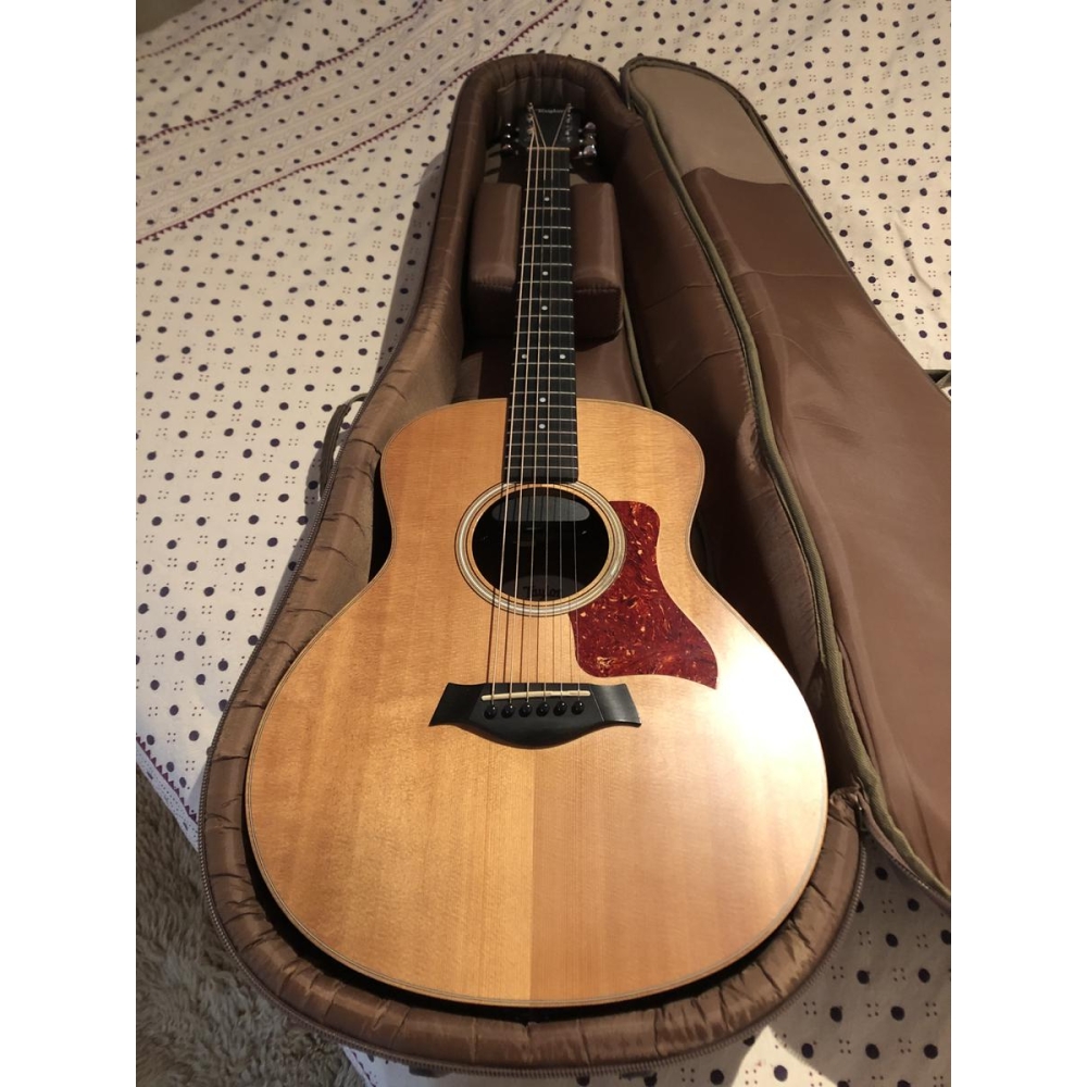 Taylor GS Mini (2014) + funda