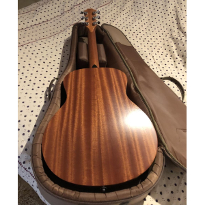 Taylor GS Mini (2014) + case