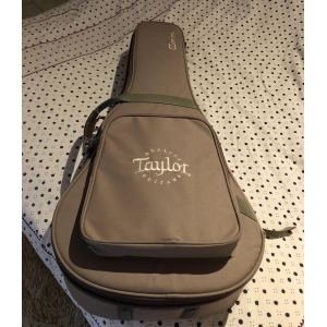 Taylor GS Mini (2014) + funda