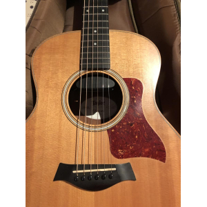 Taylor GS Mini (2014) + case