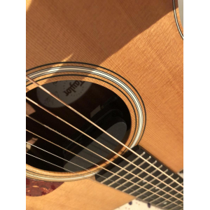 Taylor GS Mini (2014) + case