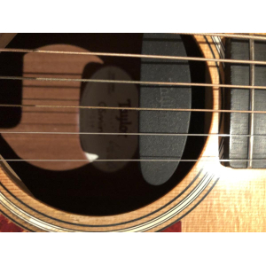 Taylor GS Mini (2014) + case
