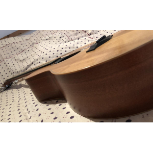 Taylor GS Mini (2014) + funda