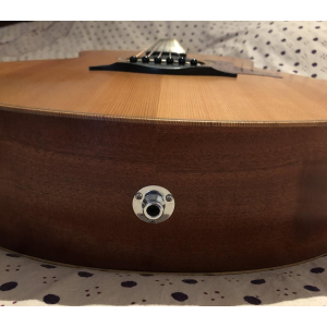 Taylor GS Mini (2014) + funda