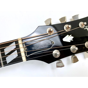 Gibson Dove 1980 Ébano