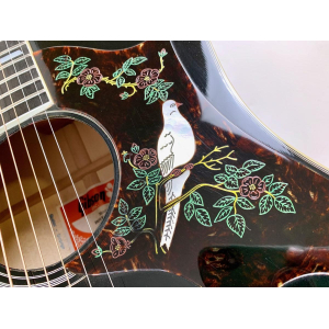 Gibson Dove 1980 Ebony