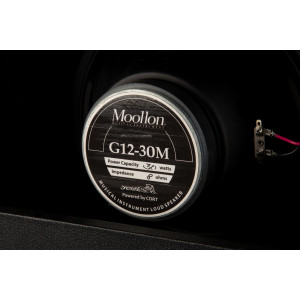 Cort Gitarrenbox 30W/1x12'' Moollon Schwarz