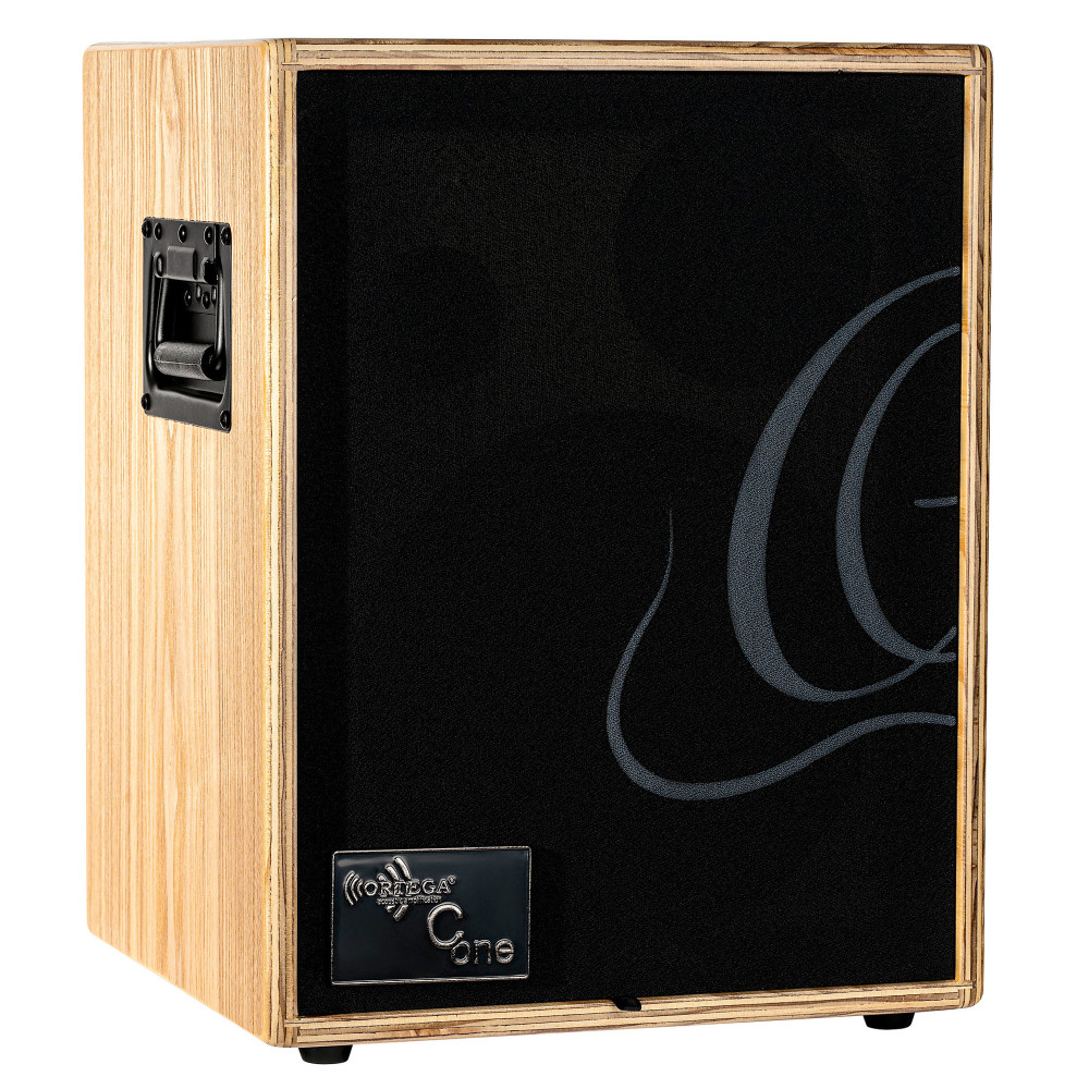 Ortega Verstärker 100 W, 2 Kanäle, Rev/Chorus