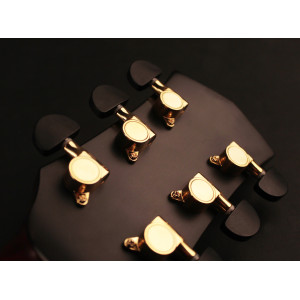 Cort Cut Craft Gitarre Natur Hochglanz