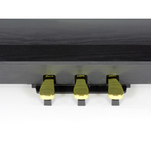 Adagio Digital Klavier Dp150bk
