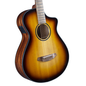 Breedlove Discovery S Concertina Edge Ce