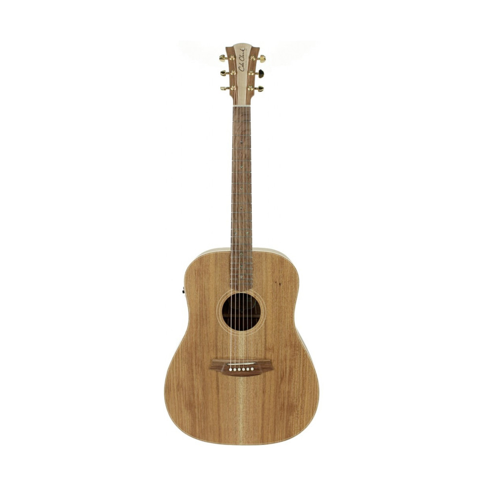 Cole Clark Gitarre Fl2e, Etui