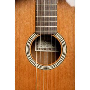 Gitarre Esteve Fusion Zederndecke