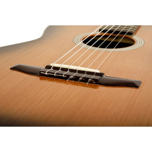 Gitarre Esteve Fusion Zederndecke