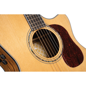 Cort Gold A6 Bocote Natur