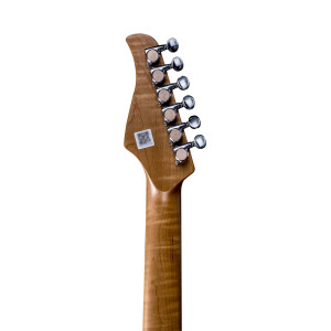 Mooer Gtrs-p800 Gitarre Dark Night