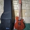 Godin LGP 90