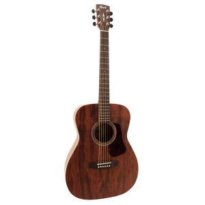 Gitarre Cort Luce L450c Natur Satiniert