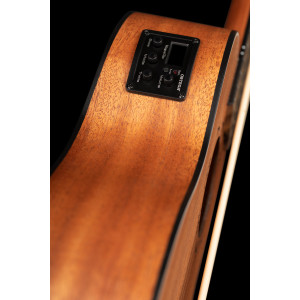 Ortega Basse Lizard Serie, 4 Cordes, Eq