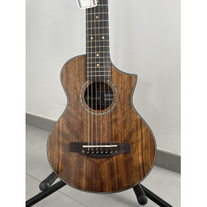 Ibanez Travel Guitar