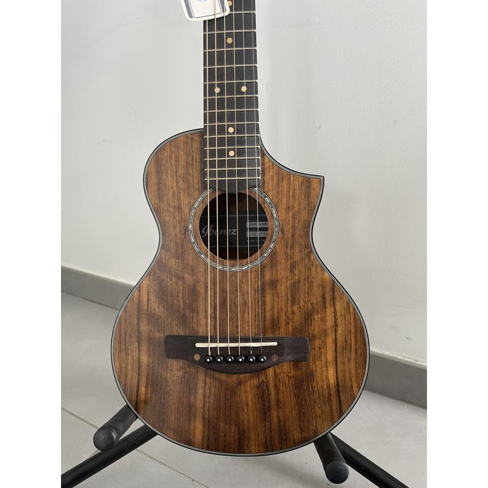 Guitarra de viaje Ibanez