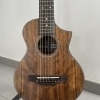 Ibanez Travel Guitar