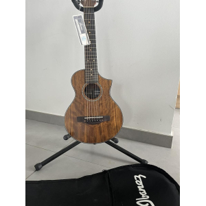 Ibanez Travel Guitar