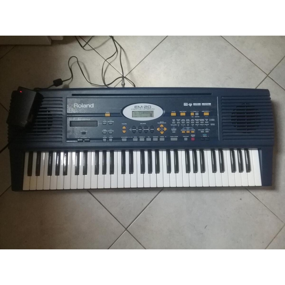 Roland EM-20
