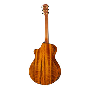 Breedlove Oregon Concerto Jeff Bridges
