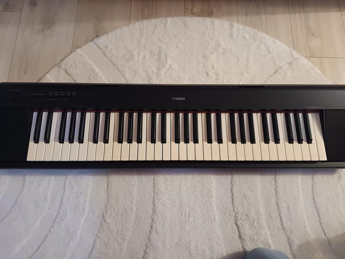 The Yamaha Piaggero NP-15
