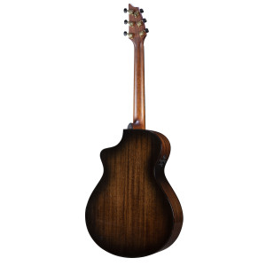 Breedlove Performer Pro Concert Ce