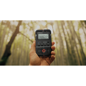 Roland R-07 2-channel Handheld Recorder