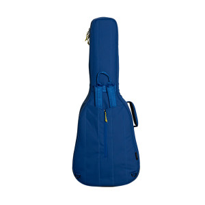 Ritter Dreadnought Blue Cover
