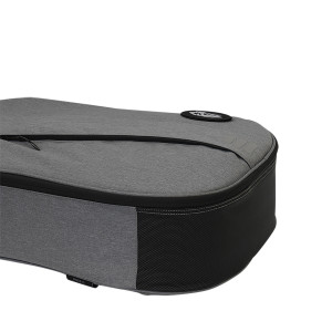 Ritter Hülle Dreadnought Grau