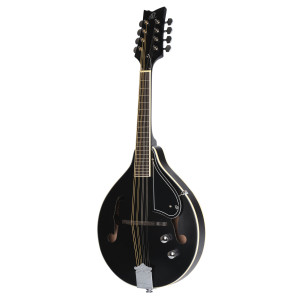 Ortega Mandoline