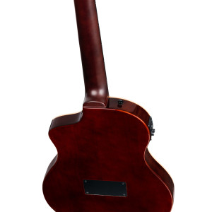 Ortega Gitarre Tourplayer Std Ny Nat