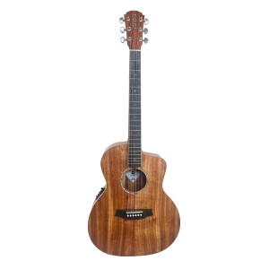 Gitarre Cole Clark Studio San1ec