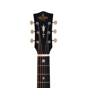 Sigma Edition Speciale Sjm-sg45-an Etui